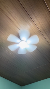 2in1 Exhaust Ceiling Fan: A Comprehensive Guide