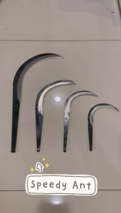 Hong Lee Sabit Kelapa Buah Pisang Sayur / Fruit Banana / Coconut Sickle