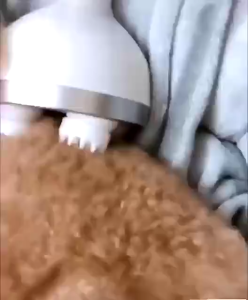 【COD】 Scalp Massager Anti Hair Loss/ Cat Massager /Portable Electric Handheld Head Massager Relief Stress