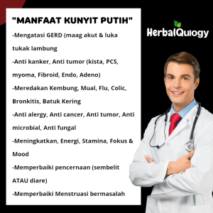 HerbalQulogy - KUNYIT PUTIH Isi 30 60 100 Kapsul Murni Alami 100% tunggal Original kunyit putih