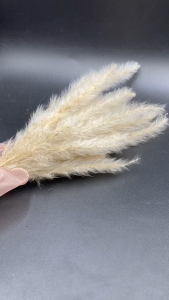 Nhẫn Nam Bạc 925 Đơn Giản Nam Tính Nhẹ Nhàng BẠC HIỂU MINH NA611