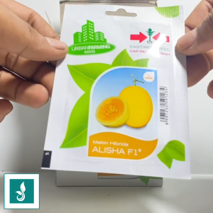 Benih Melon Golden ALISHA F1 Isi 5 Butir Cap Panah Merah