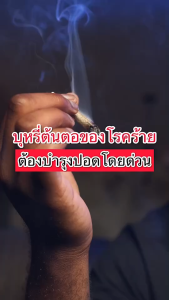 ชาเลิกบุหรี่  ชาปีดอด (ชาปอดดี ) Dr.Herb  ชาสมุนไพร ลดความอยากสูบ ลดไอ  ฟื้นฟูปอด ส่งฟรี มีปลายทาง