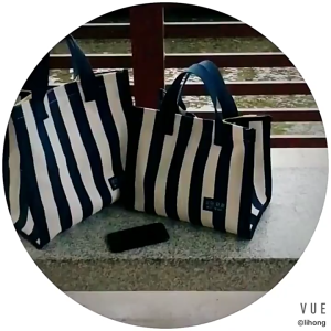 New Women Summer Hand Bag Fashionable Bag and Large Capacity Women Bag