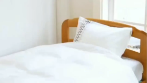 MLJ® bed bugs killer powerful spray bed bugs spray bed bugs killer powerful bed bugs and mites spray bedbugs killer spray anti mite spray除螨喷雾剂螨虫