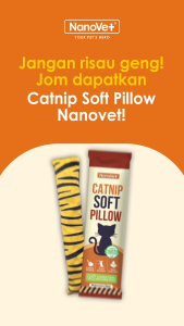 Nanovet® Catnip Soft Pillow