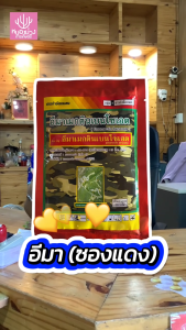 อีมาซองแดง อีมาเมกตินเบนโซเอต ขนาด 100 กรัม กำจัดหนอนกระทู้ลายจุด หนอนกอ หนอนเจาฝัก เพลี้ยไฟ