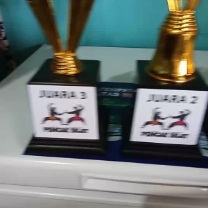 Piala Lomba Juara 1 2 3 bisa (MODEL FTG) kostum \\\"costum\\\" (bisa satuan juga) BISA SET DAN BISA SATUAN Trophy Lengkap Stiker free design sticker dan free sticker