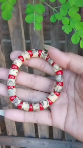 Gelang Kayu Kaboa Sancang Kombinasi Batu Marjan Ukuran 10mm - Bracelets