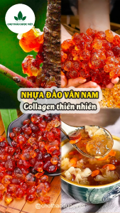 Nhựa đào Vân Nam 100g mủ đào nguyên liệu nấu chè dưỡng nhan đẹp da thanh nhiệt giải khát