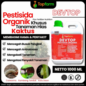 Obat Kaktus & Sukulen: Perlindungan Tanaman Hias Anda