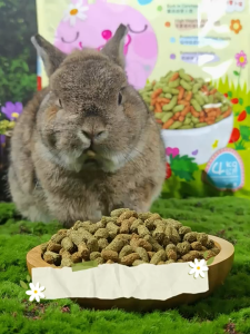 cỏ nén Orfibra alice đầy dinh dưỡng cho thỏ 1kg - T3 PETS SHOP