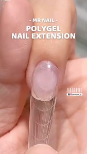 [Vainpot-SG] MR NAIL Polygel Nail Extension - 60g