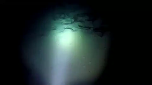 Ultimate Guide to Durable Diving Equipment: Rechargeable Diving Flashlights