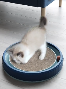 กระดานข่วนแมว 3in1 ของเล่นแมว จานหมุนแมว แกล้งแมวติด ทนต่อการสึกหรอ เล่นของเล่นแมวชิ้นเดียว