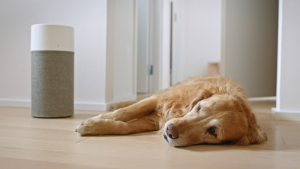 🔥Original and Authentic🔥 Replacement Compatible with Blueair 3410/311 3400 series air purifier Filter Auto Particle+Carbon  HEPA&Active Carbon Nano Protect filter Air Purifier Accessories