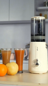 SANEX Aestethic Slow Juicer Extra Big Mouth Easy Juice Filter SJ 2081 Low Watt Food Grade