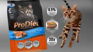 ProDiet 8KG Chicken Tuna Dry Cat Food (500G Inner Packs)