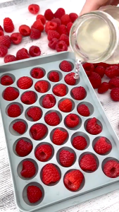 Acuan Jelly Ball Besar Big Jelly Ball Mould Round Ice ball maker mold Silicone ice cube tray Acuan Jeli Ball