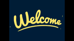 Flash Ink for Personalized Pre-inked Flash Stamp Refills 10ml