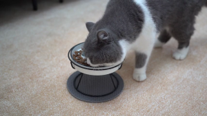 Cat Slow Feeder Bowl Pet Bowl with Stand Ceramic Elevated Pet Bowl Cat Ceramic Plate Small Dog Slow Down Eating Speed