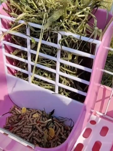 Small Pet Plastic Food Bowl / Grass Rack / Hay Tray Rabbit Arnab Guinea Pig Chinchilla