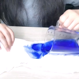 【COD】5PCS Womens Menstrual Pants Adult Diaper Pants Pull Ups Hygiene Panties Disposable Hygiene Panties