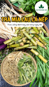 Trà mía lau lá nếp thanh nhiệt mát gan giảm nóng trong - Chợ Thảo Dược Việt