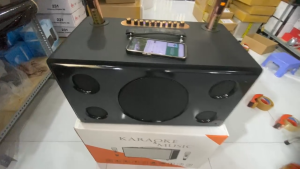 Loa Karaoke T30 Plus 1 Bass 25cm 2 Trung 16cm 2 Treble 4cm Công Suất 900W Bass Mạnh Hát Hay Có Echo Revrevb Âm Thanh Mạnh Mẽ  Echo Karaoke Có Thêm Chức Năng Reverb Giúp Giọng Hát Sáng Tiếng Chân Thật