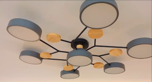 Modern Decor Chandelier Center Ceiling Light LED Pendant Light 3 Colors Chandelier for Living Room