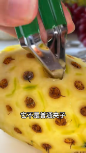 Stainless Steel Pineapple Seedless Clip Seed Remover Stemming Tweezers