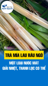 Trà rễ tranh mía lau râu ngô set trà giải nhiệt thanh mát thanh lọc cơ thể - Thảo Dược Hạnh Nguyên
