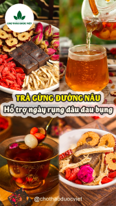Set 5-10 gói trà gừng đường nâu mix sẵn (Hỗ trợ giảm đau bụng kinh lưu thông khí huyết) - Chợ Thảo Dược Việt