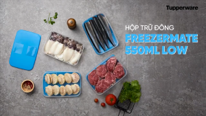 Bộ hộp trữ đông Tupperware Happy Set 650ml 4 hộp - Bảo hành trọn đời - Nhựa nguyên sinh