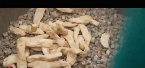 上海爽甜萝卜条萝卜自带微甜开胃下饭好配菜3kg