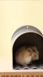 บ้านหนูแฮมเตอร์ ขนาด 13.2x10.7x9.5 CM สามารถใส่เจลเพื่อให้ที่นอนเย็นขึ้นได้