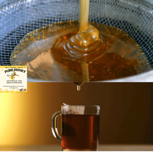 Wondrous Wild Honey - 500ML (Pagudpud Ilocos Norte)
