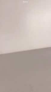 DeeVa Derma Soft Skin - SunSational Tinted Sunscreen