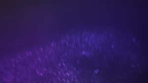 Implora Eyeshadow Palette 4 Varian - Eyeshadow Palette in 9 Looks Colors- Virgo Shoop