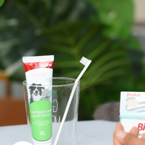Bioline® Pets Dog Puppy Toothpaste Toothbrush Dental Care Set Prevent Bad Breath Mint Beef Chickren 宠物猫狗口腔护理 宠物牙膏