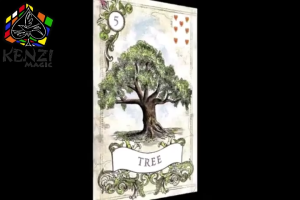 Kartu Oracle Old Style Lenormand: Panduan Lengkap untuk Fortune Telling