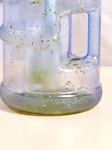 Sikat Pembersih Galon / Sikat Galon isi ulang Manual Terbaru / Sikat Aqua Galon Best Kualitas / sikat pembersih galon / sikat galon manual / sikat galon isi ulang DMO M17