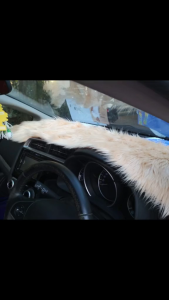 Alas dashboard mobil truk canter/truk hino 500/ truk fuso ukuran 50x200