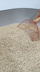 6L/2KG Cat Litter Soybean Tofu Natural Cat Litter Sand Fast Clumping Cat Litter Cat Toilet Pasir Kucing