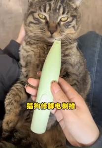 Dog Cat Foot Hair Trimmer Pet Paw Nail Grooming Electrical Cutter Shearing Rechargeable Shaver Cukur Bulu Kucing宠物剃毛器 猫狗