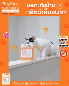 PlayPals Multi-Purpose Pet Liquid 10 Pack - น้ำยาเช็ดกรงสัตว์เลี้ยง หมา แมว ทำความสะอาด หมดกลิ่นฉี่ สารสกัดจากธรรมชาติ ปลอดภัยสำหรับสัตว์เลี้ยง