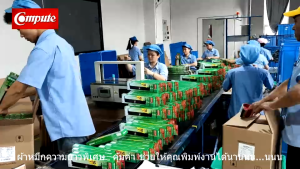 ผ้าหมึกดอทเมตริกซ์ OKI Microline 1190 Plus Ribbon OKI ML-1190 / ML1190 Plus (เนื้อผ้ายาว16เมตร)