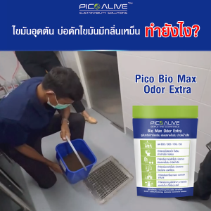 Bio Max จุลินทรีย์แก้ท่อตัน ส้วมเต็ม กำจัดกลิ่นใน 1 นาที ไม่ต้องดูดส้วม ย่อยสลายไขมันสิ่งปฎิกูล ดับกลิ่น ห้องน้ำ
