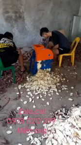 Máy thái sơi  thái lát cư quả sợi 5mm đến 7mm