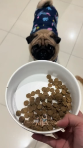 Luscios Premium Dog Food Appetite Booster Mixed Cubes Premium Pet Toppers Cat Food Real Meat Toppers